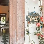 Eden Selene