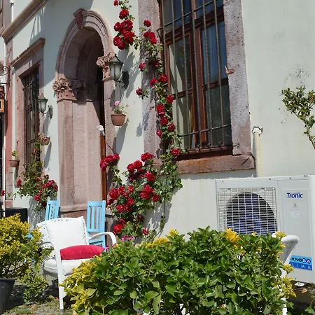 伊甸塞勒涅酒店 2* Ayvalı