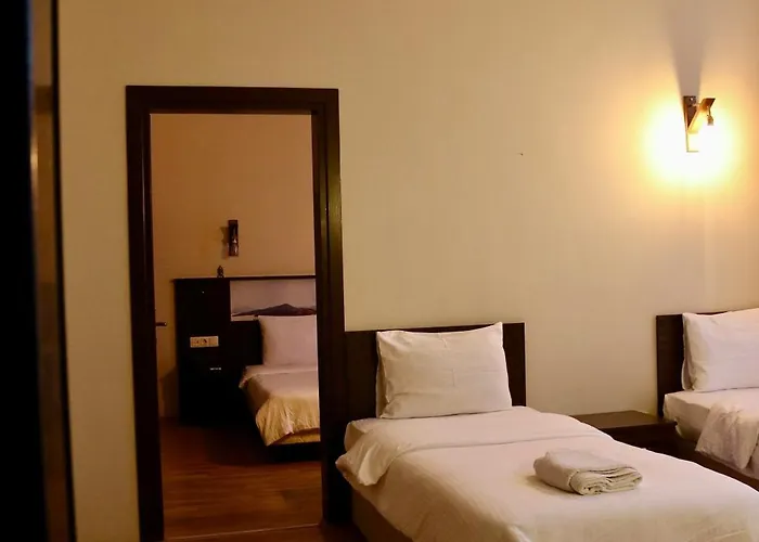 伊甸塞勒涅酒店 2* Ayvalı