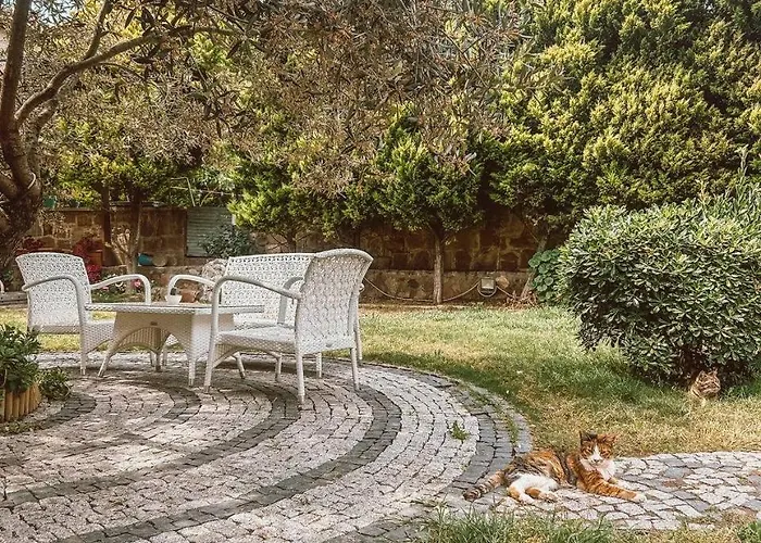 酒店 伊甸塞勒涅酒店 2*