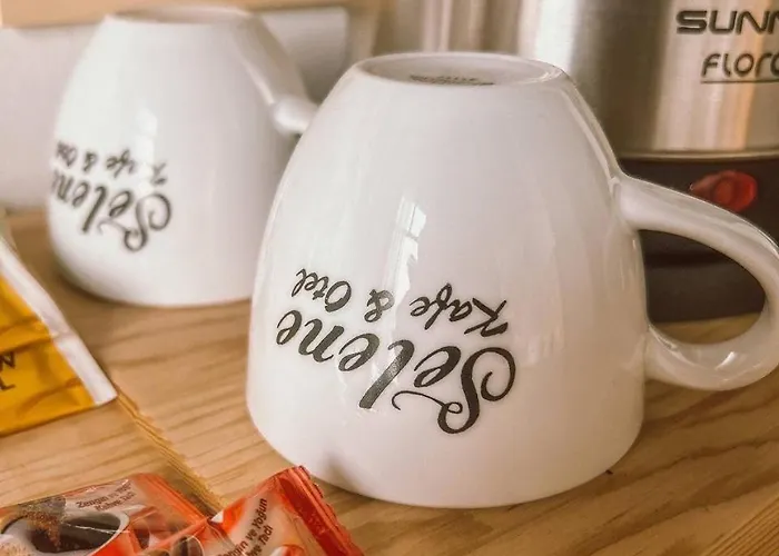 伊甸塞勒涅酒店