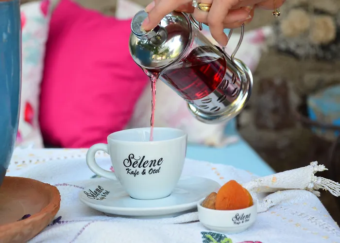 伊甸塞勒涅酒店 酒店 2*