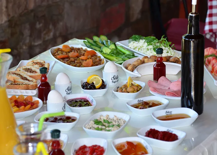 伊甸塞勒涅酒店 2* Ayvalı