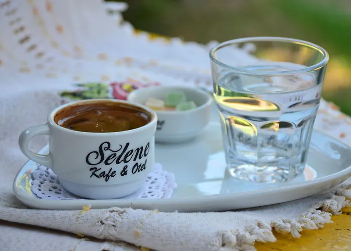 酒店 伊甸塞勒涅酒店