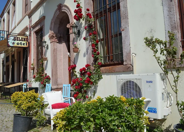 伊甸塞勒涅酒店 2* Ayvalı