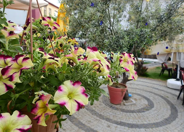 伊甸塞勒涅酒店