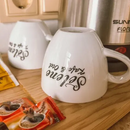 伊甸塞勒涅酒店