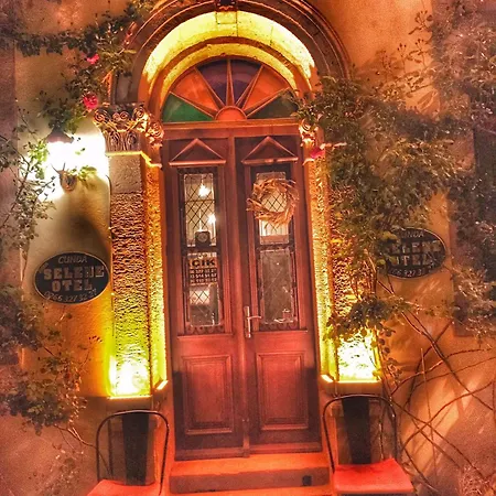 酒店 伊甸塞勒涅酒店 Ayvalı