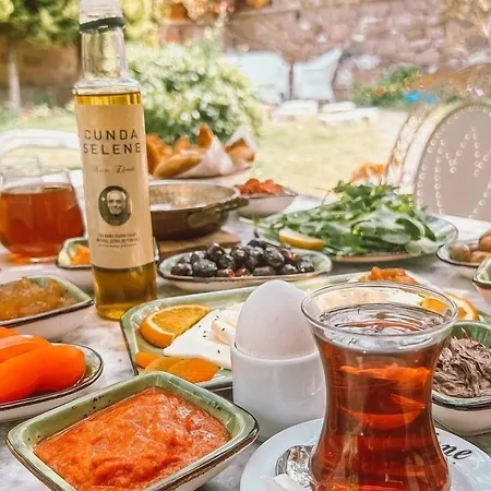 伊甸塞勒涅酒店 Ayvalı